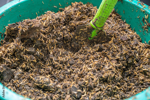 Rice husk mixed with soil and manure for planting media. Composting and gardening concept.