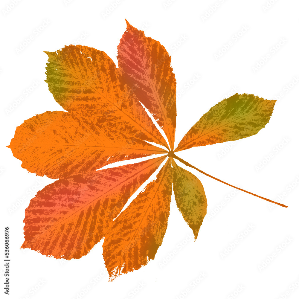 Autumn leaf. An imprint of a natural dry chestnut leaf. Autumn leaf. An imprint of a natural dry chestnut leaf.