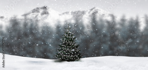 Grüner Weihnachtsbaum bei Schneefall vor einem Tannenwald im Hintergrund