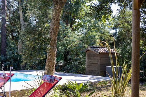 Cabanon ou abris de jardin pour piscine photo