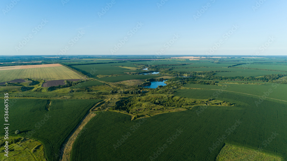 Aerial view beautiful landscape in summer. Drone flying over field in sunny day. Drone shot nature and forest, cornfield