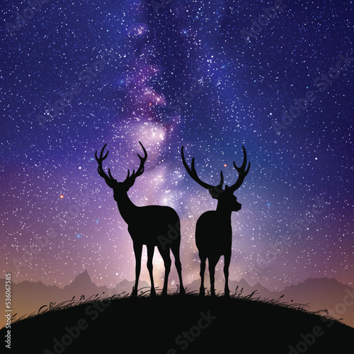 Deer family on hill. Animal silhouettes. Night starry sky  Milky Way