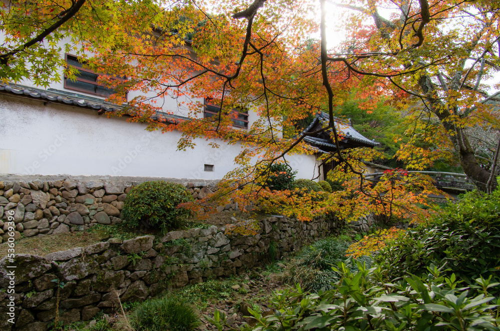天野山金剛寺(大阪府河内長野市)の紅葉
