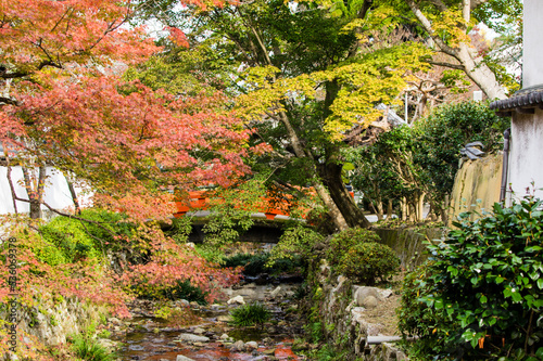 Obraz na płótnie 天野山金剛寺(大阪府河内長野市)の紅葉 w salonie