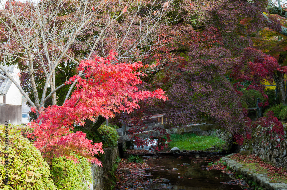 天野山金剛寺(大阪府河内長野市)の紅葉