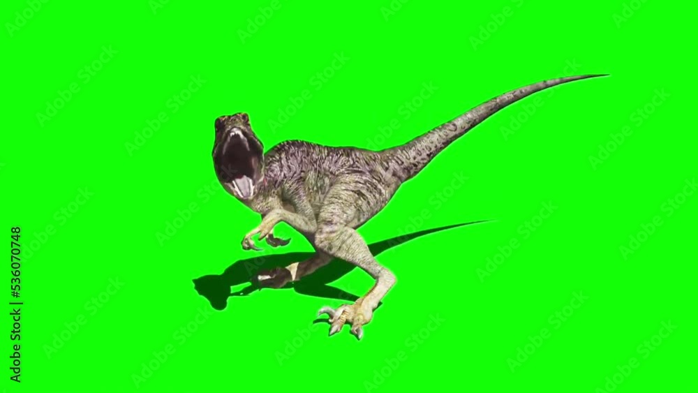 Raptor Dinosaur chroma key Green screen