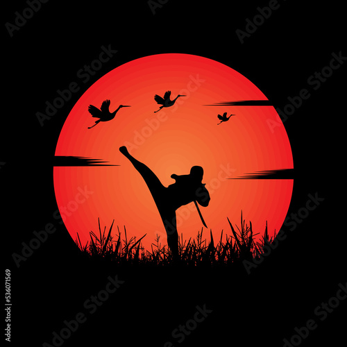 Ninja, Assassin, Samurai training at night on a full moon