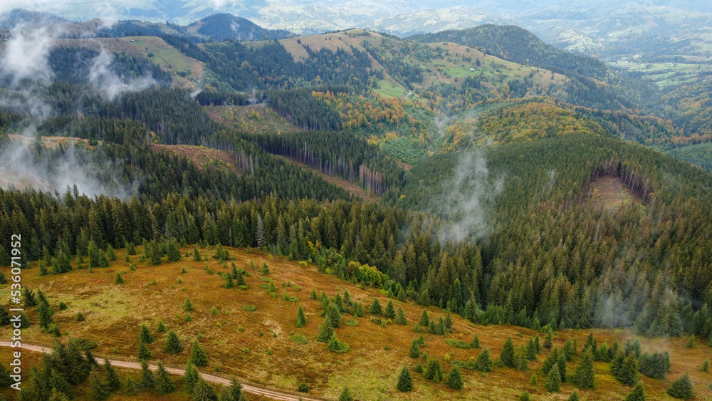 Panorama of forest covered by low clouds. Autumn rain and fog on the mountain hills. Misty fall woodland.