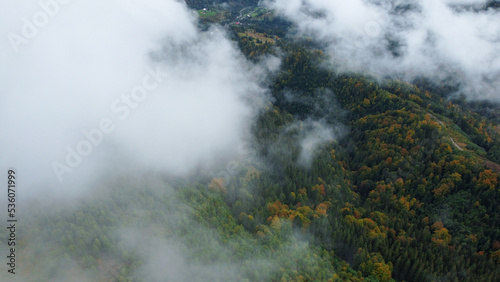 Panorama of forest covered by low clouds. Autumn rain and fog on the mountain hills. Misty fall woodland.