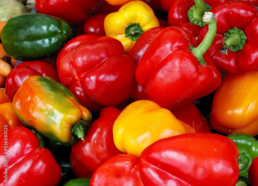 multicolor various vegetables as wholesome vegetarian food multicolor various vegetables as wholesome vegetarian food
