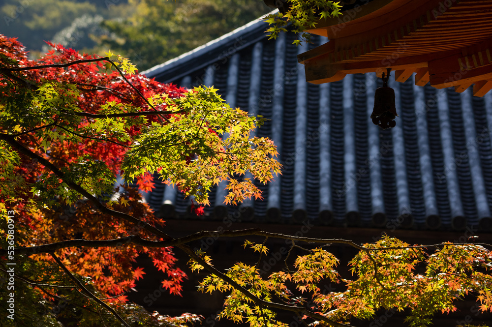 大威徳寺(大阪府岸和田市)の秋風景