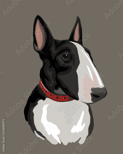 Digital drawing of Bull terrier 