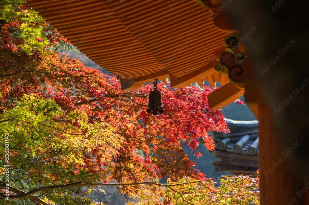 大威徳寺(大阪府岸和田市)の秋風景