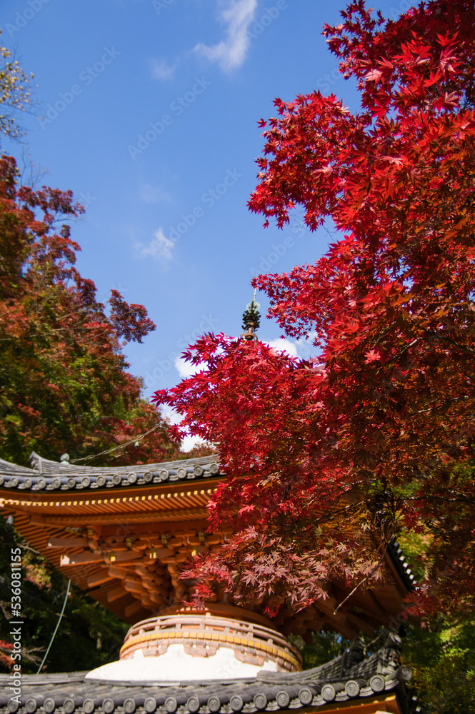 大威徳寺(大阪府岸和田市)の秋風景
