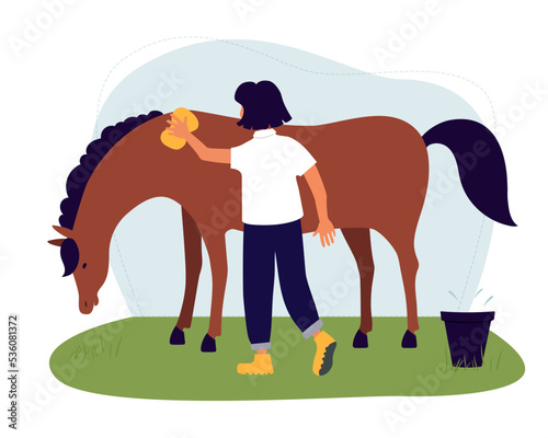 A woman washes a horse. The girl takes care of a bay horse. Hippotherapy. 