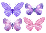 Butterflies set isolated on a white background. Watercolor Illustration for your design. Purple and pink butterfly