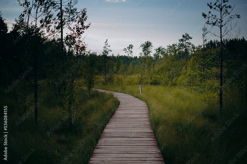 path to the lake path to the lake