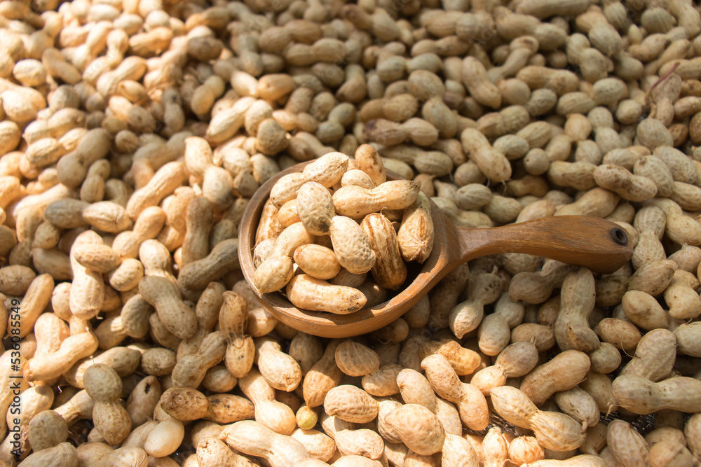 Raw peanuts in a big wooden spoon on peanuts background with the sunshine. Raw peanuts in a big wooden spoon on peanuts background with the sunshine.