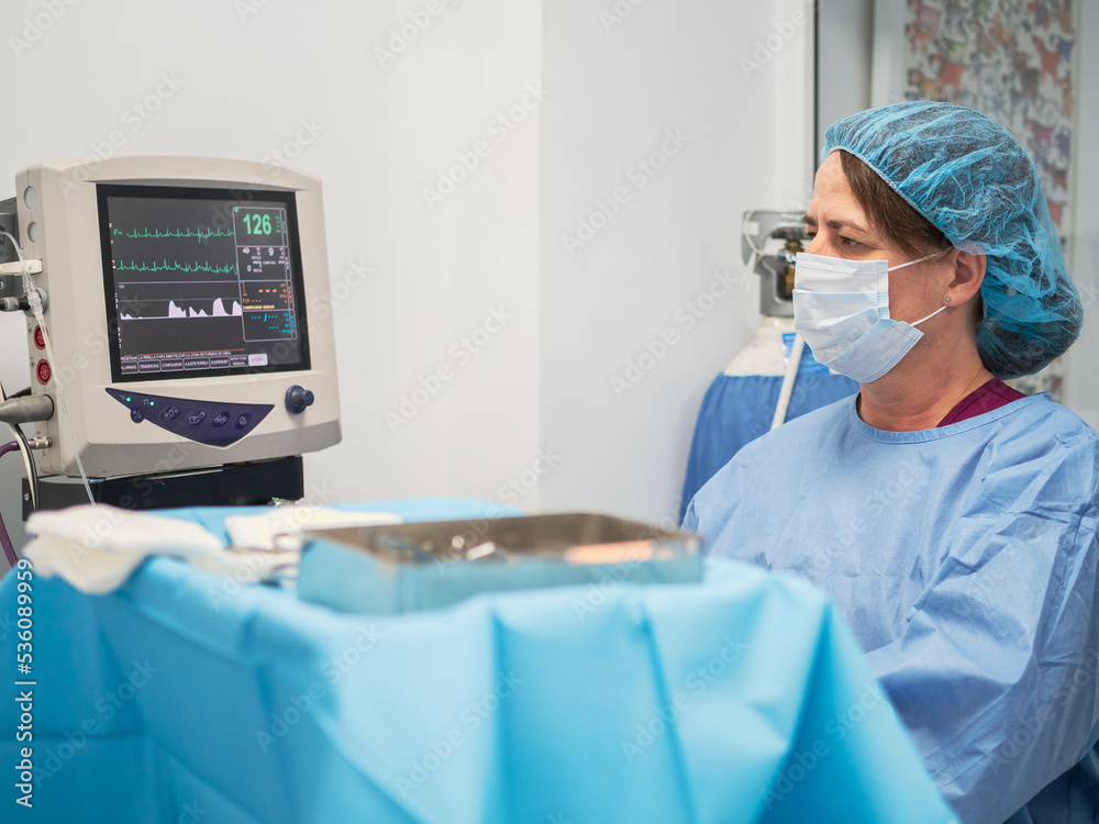 Doctor checking vital signs monitor Doctor checking vital signs monitor