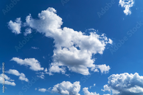 Fototapeta Naklejka Na Ścianę i Meble -  Blue sky with white clouds in the shape of a bear cub.