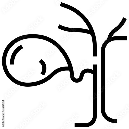 Gallbladder icon