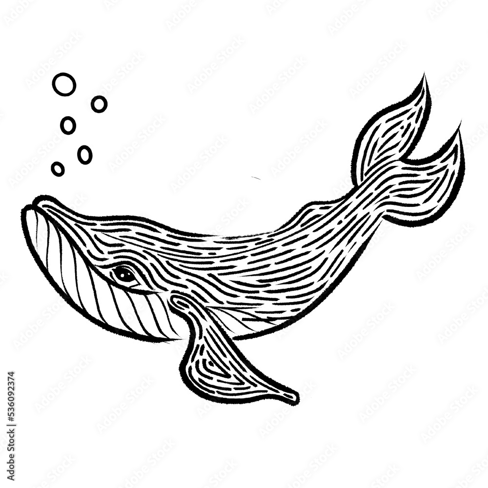 whale whale
