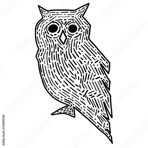 owl