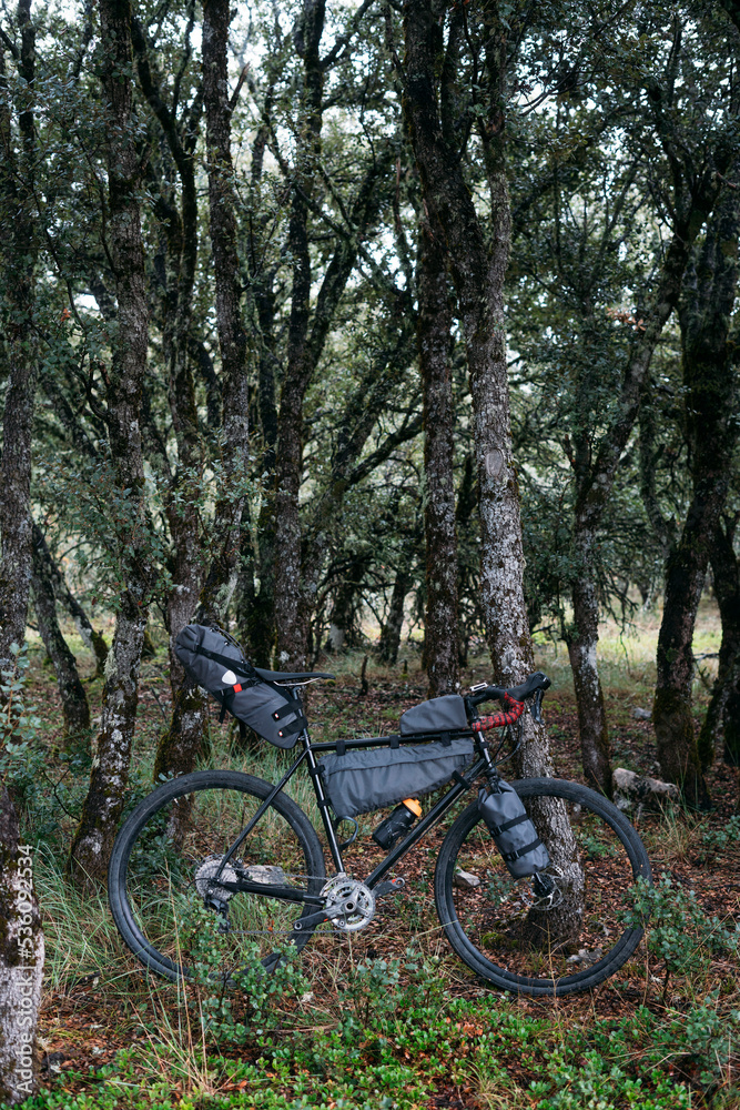 Bicycle on green meadow in bright day leaning on trees Bicycle on green meadow in bright day leaning on trees