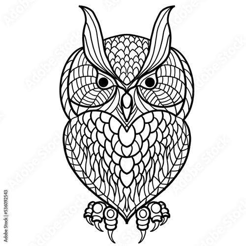 owl black stripes