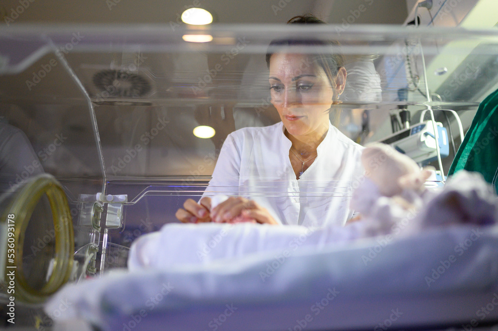 Nurse gently touching fragile newborn in neonatal incubator Stock Photo