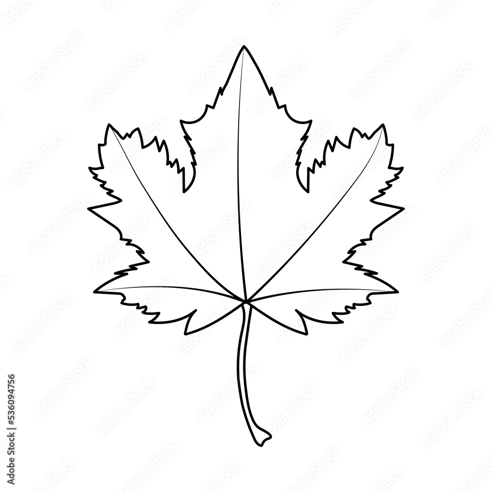 Maple leaf with black outline. Coloring page. Vector illustration, flat ...