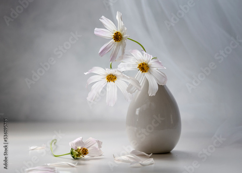 Bouquet of cosmea in a white vase on a light background