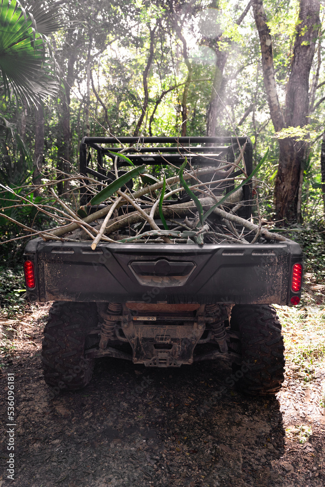 Tree branches in trunk of UTV car Tree branches in trunk of UTV car