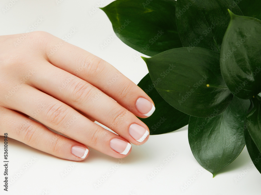Beautiful woman's hands on light background. Care about hand. Tender palm with natural manicure, clean skin. Light pink nails