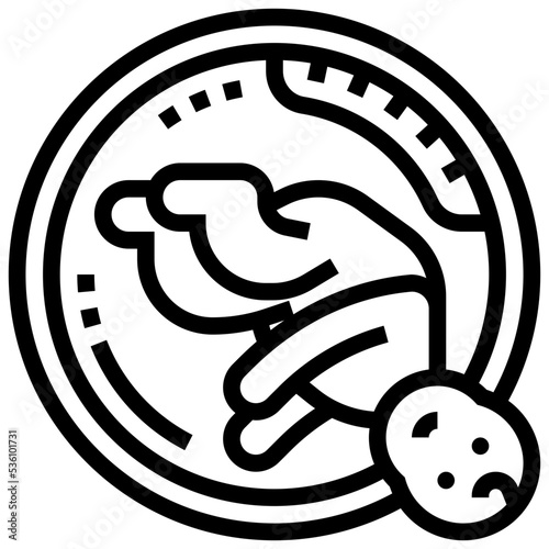 Obstetrics icon