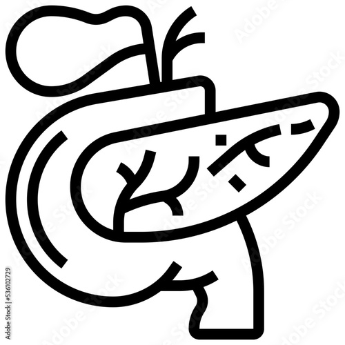 Pancreas icon