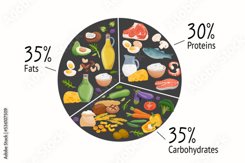 Set of macronutrients. Carbohydrates, proteins, fats presented by food products. Vector illustration of nutrition categories. Balanced nutrition. Healthy food