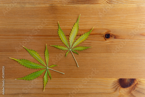 mrijuana leaves on a wooden background close-up.