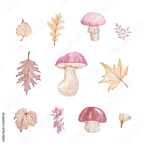 set of watercolor illustrations on an autumn theme, pink mushrooms and yellow leaves, stickers, decor, tags