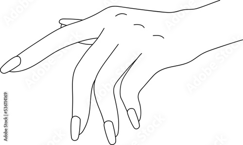 Woman Hand Nail Polished Line