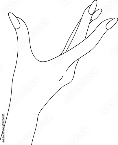 Woman Hand Nail Polished Line