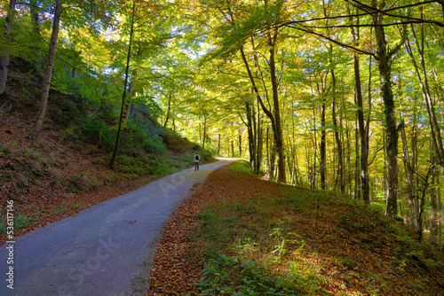 A person walks along the forest path enjoying the beauty of the landscape. Collsacabra, Catalonia, Spain