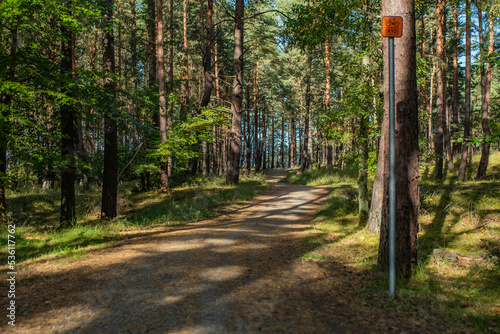 Ścieżka rowerowa las Mierzei Wiślanej