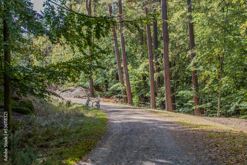 Ścieżka rowerowa las Mierzei Wiślanej