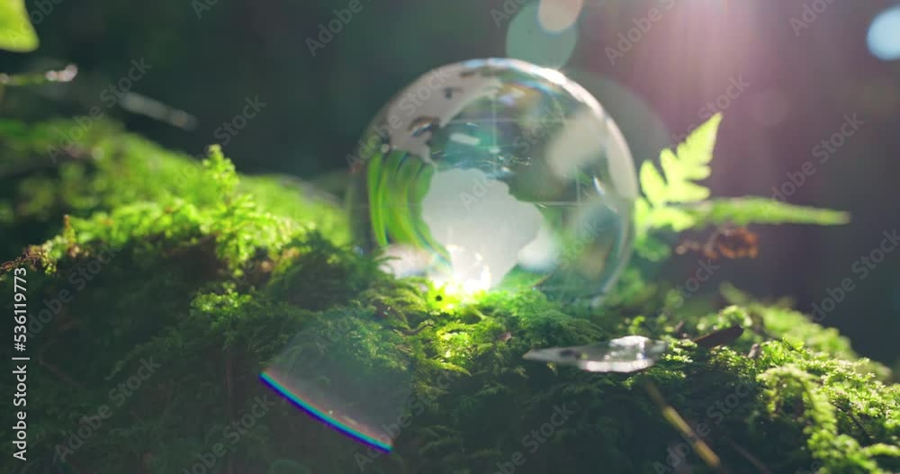 Crystal globe on moss in a forest