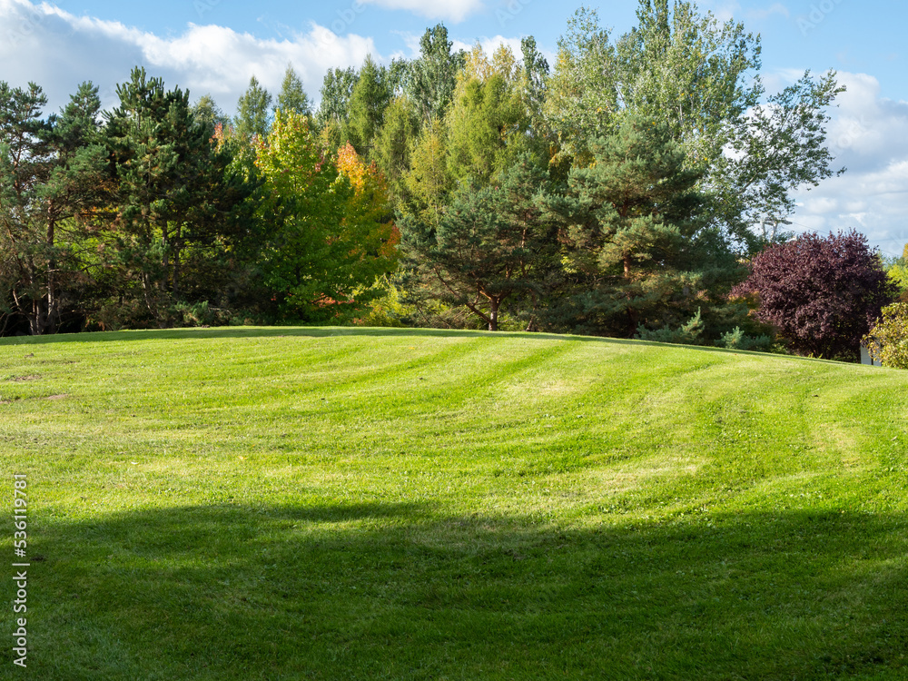 Naklejka premium Beautiful colorful trees in the autumn park.