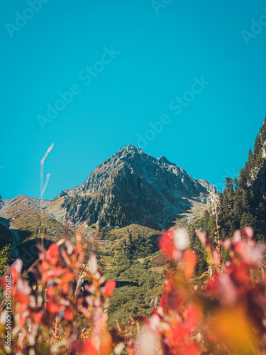 MONT BLANC