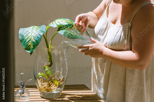 Female pouring water into vase with plant on terrace