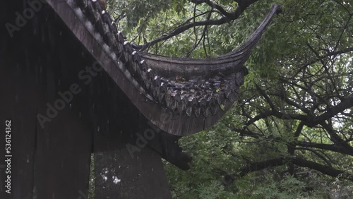 rain drop falling from ancient architecture and trees photo