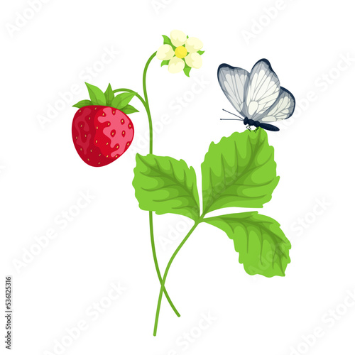Ripe flowering strawberry with green leaves and butterfly. Cartoon vector graphics.
